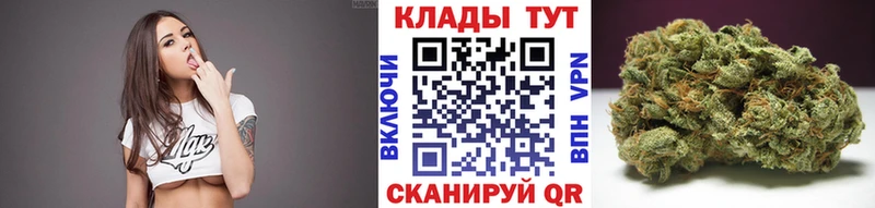 Виды наркотиков купить Щигры АМФ  Гашиш  Канабис  A-PVP 