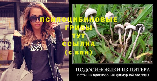дмт Алексеевка