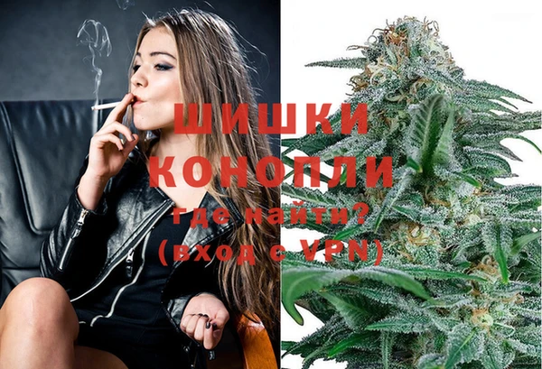 винт Алексин