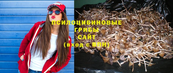 марки nbome Алзамай