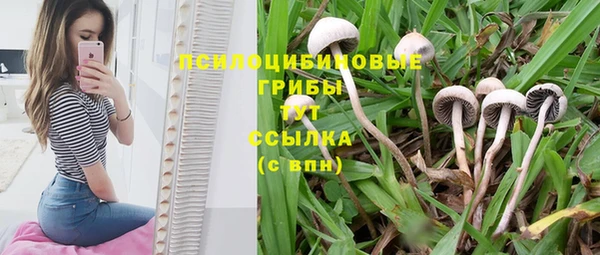 марки nbome Алзамай