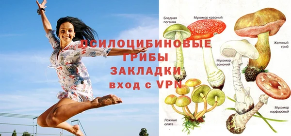 дмт Алексеевка
