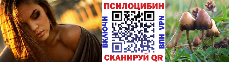 mega маркетплейс  Щигры  Псилоцибиновые грибы Cubensis 